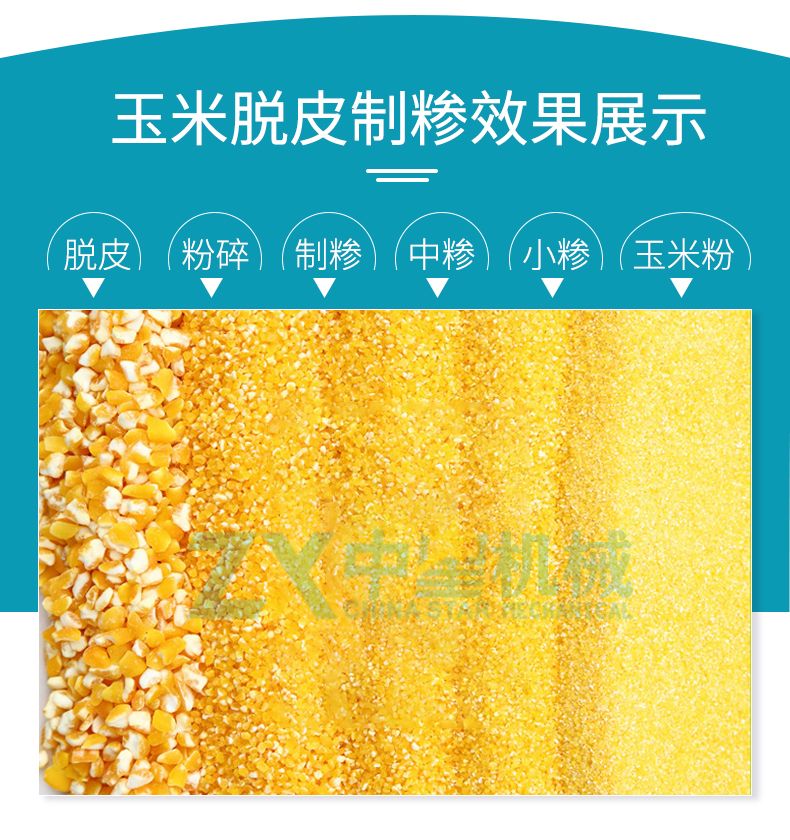 T1型玉米脫皮制糝機(jī)詳情頁水印_05.jpg T1型玉米脫皮制糝機(jī)詳情頁水印_05.jpg