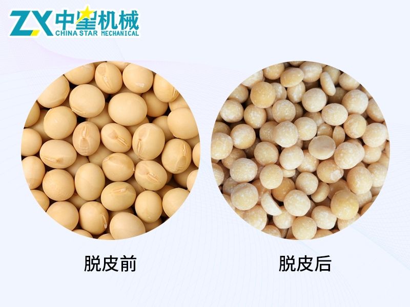 大豆干脫皮機(jī)02_Jc.jpg 大豆干脫皮機(jī)02_Jc.jpg